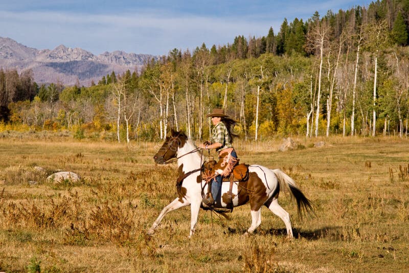 Frau reitet Pferd stockfotografie