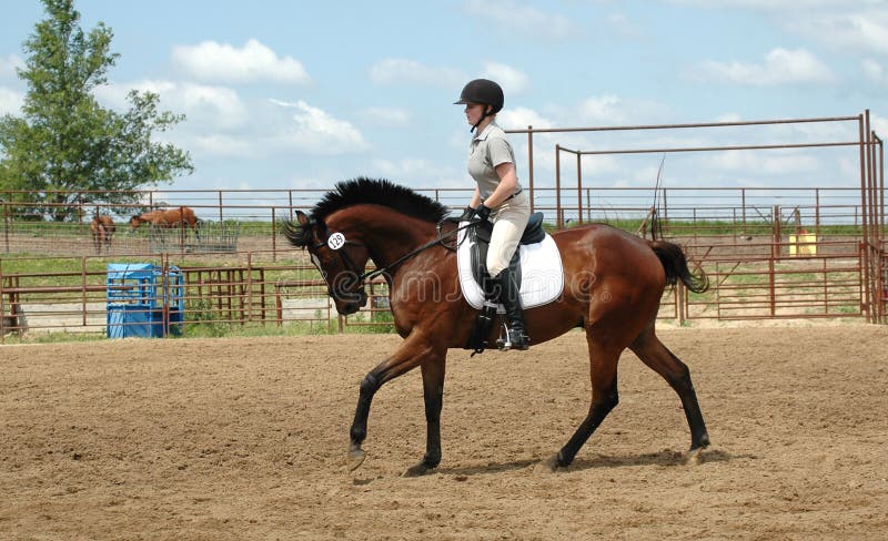 Frau reitet Pferd lizenzfreie stockfotografie
