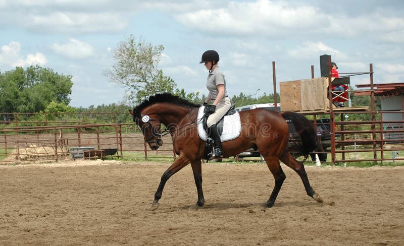 Frau reitet Pferd stockfotos