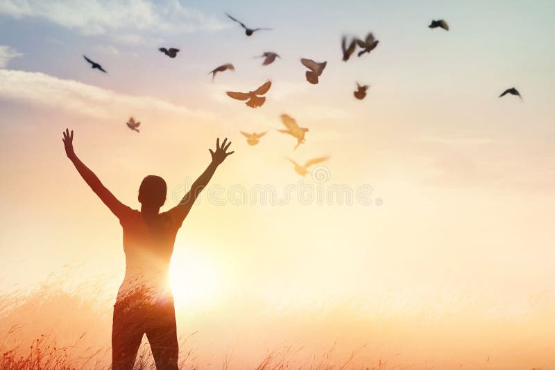 Frauenbeten und freier Vogel Natur auf Sonnenunterganghintergrund genießend