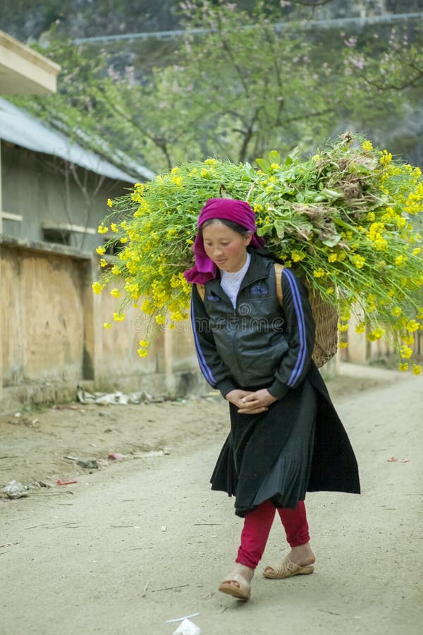 Ethnic minority woman working near Van market, Ha Giang province, Vietnam. Ha Giang is one of the six poorest provinces of Vietnam. Ha Giang is a famous tourist destination in Vietnam. Photo taken on: 03 May 2011. Ethnic minority woman working near Van market, Ha Giang province, Vietnam. Ha Giang is one of the six poorest provinces of Vietnam. Ha Giang is a famous tourist destination in Vietnam. Photo taken on: 03 May 2011