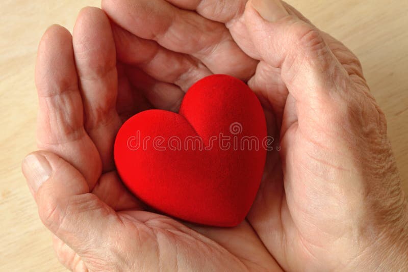 Frauenhände, die Herzkonzept der Liebe und der Spende halten lizenzfreies stockbild