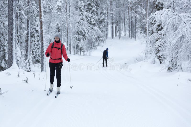 Frauenskilanglauf im schneebedeckten Wald stockfotos Frauenskilanglauf im schneebedeckten Wald stockfotos