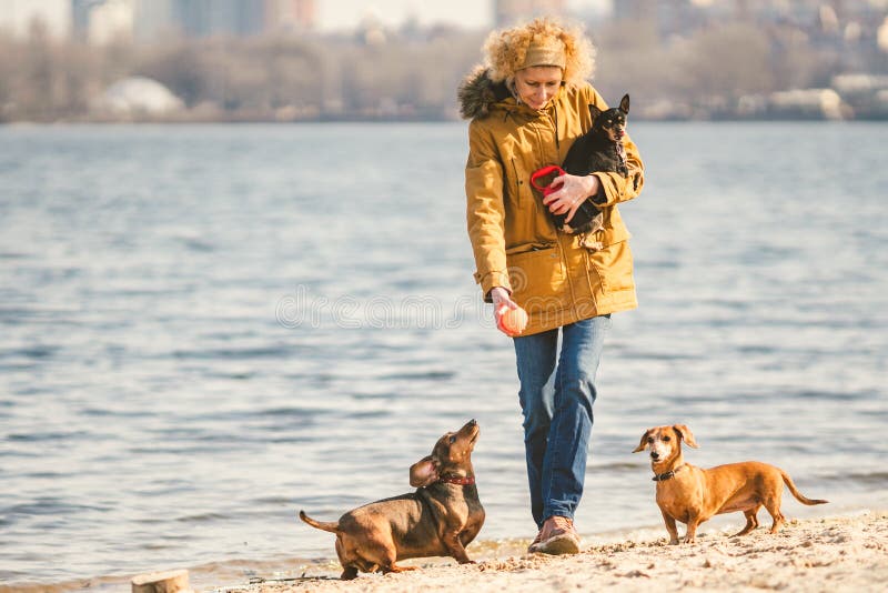 Frauenspiele Mit Hunden Haustiere Und Hunde, Die Hunde Ausbilden Und