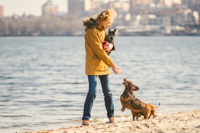 Frauenspiele Mit Hunden Haustiere Und Hunde, Die Hunde Ausbilden Und