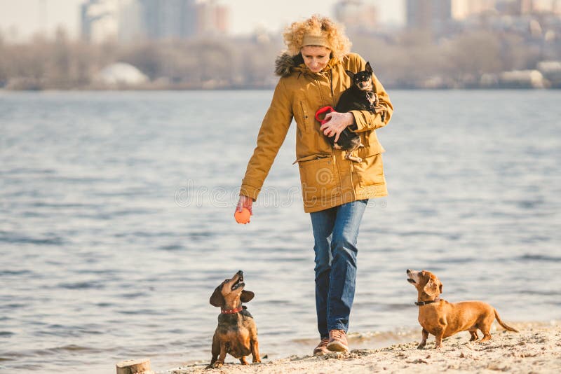 Frauenspiele Mit Hunden Haustiere Und Hunde, Die Hunde Ausbilden Und