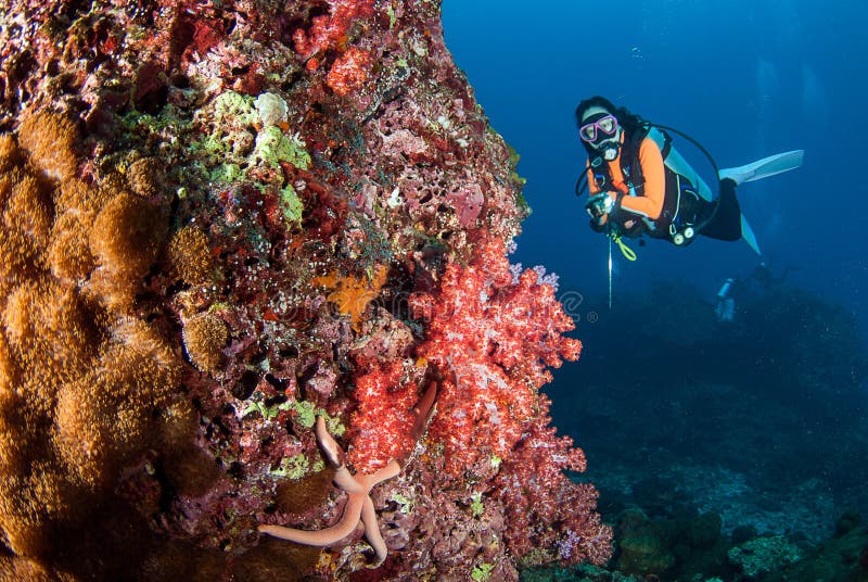 Frauensporttauchen auf einem schönen weichen Korallenriff in Süd-Andaman, Thailand
