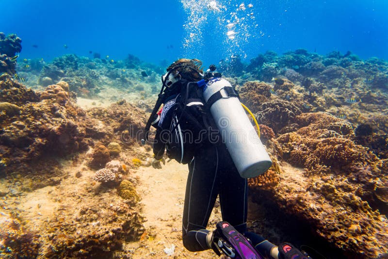 Frauentaucher am tropischen Korallenriffsporttauchen im tropischen ocea