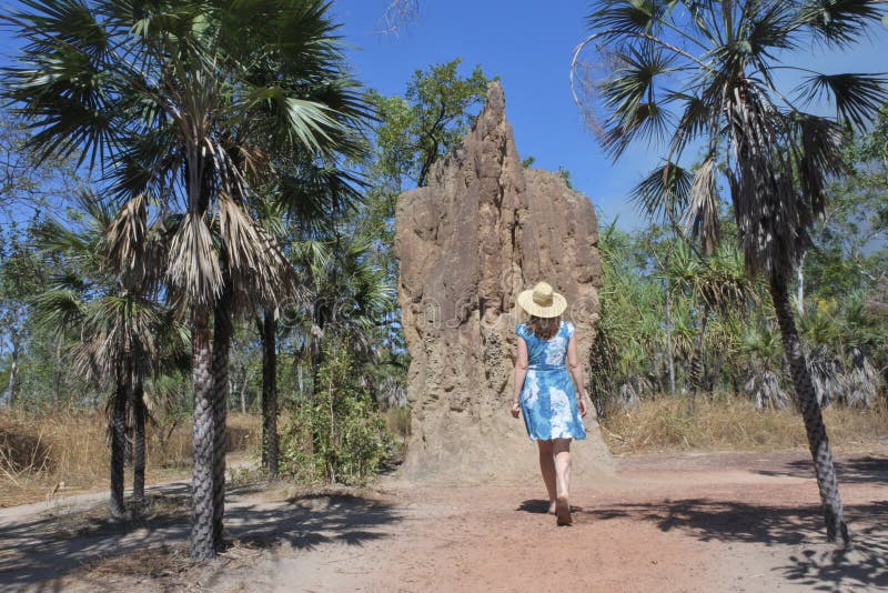 Frauentourist, der Kathedralentermitenhügel im Nordterritorium Australien betrachtet stockfoto Frauentourist, der Kathedralentermitenhügel im Nordterritorium Australien betrachtet stockfoto
