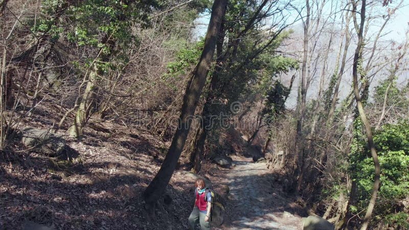 Frauenwanderer, der auf Fußweg innerhalb des Waldes, Gesichtspunkt rückwärts fliegt wandert