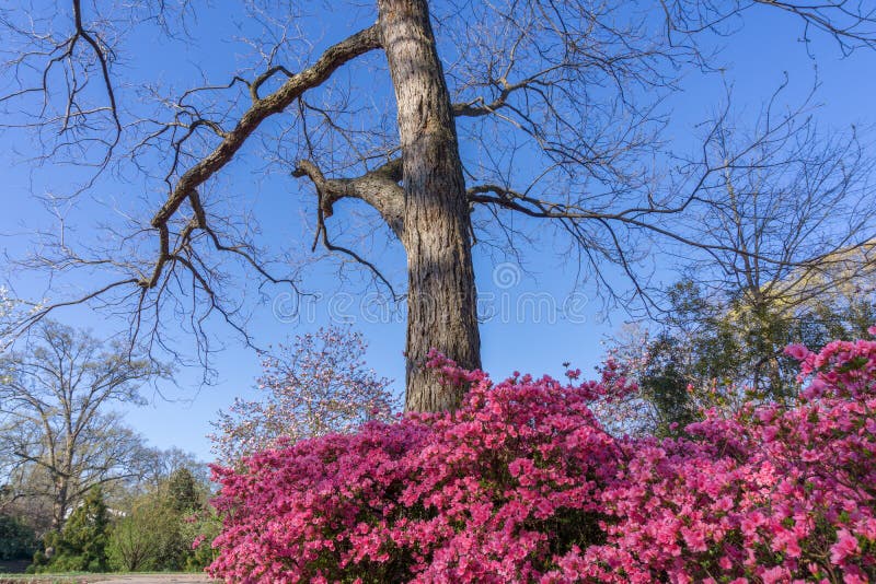 Fred Picture. Image 223130