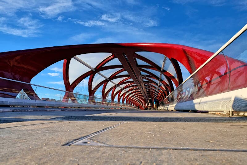 Fredbro Calgary, Alberta arkivbilder Fredbro Calgary, Alberta arkivbilder