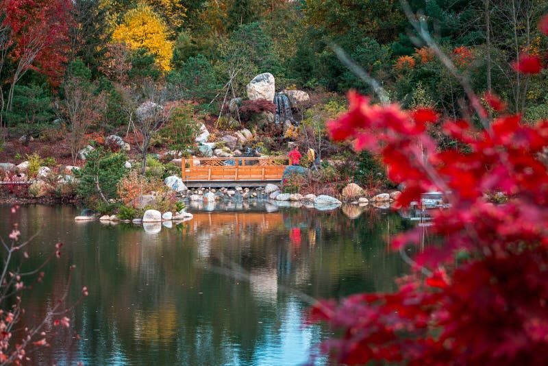 Frederik Meijer Gardens - Grand Rapids, MI/USA - 23 ottobre 2016: Turisti che approfittano delle cascate nei giardini giapponesi fotografia stock Frederik Meijer Gardens - Grand Rapids, MI/USA - 23 ottobre 2016: Turisti che approfittano delle cascate nei giardini giapponesi fotografia stock