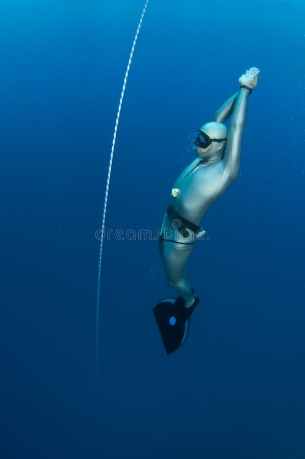 Free diver royalty free stock photography