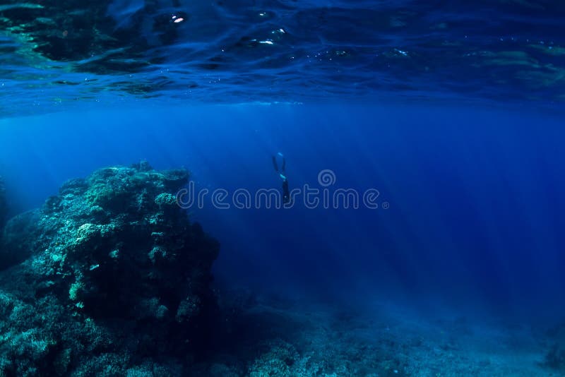 Free Diver Underwater in Ocean with Rocks and Coral Stock Image - Image ...