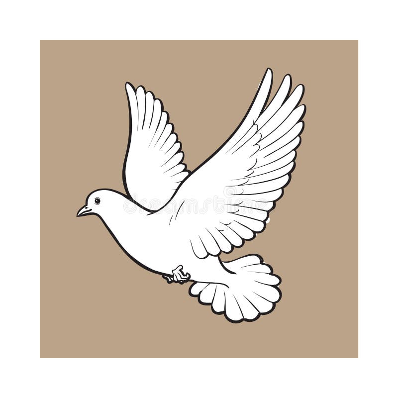 Free flying white dove, isolated sketch style illustration royalty free ill...