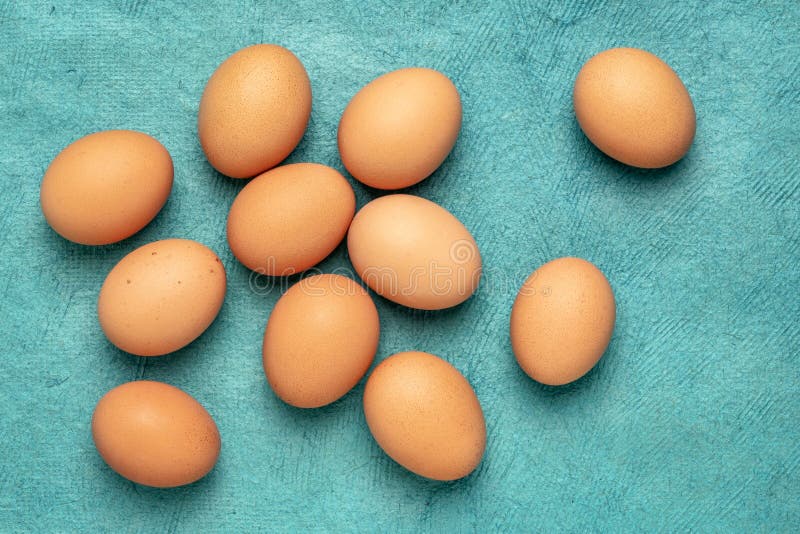 Freerange Large Brown Chicken Eggs Stock Image Image of overhead