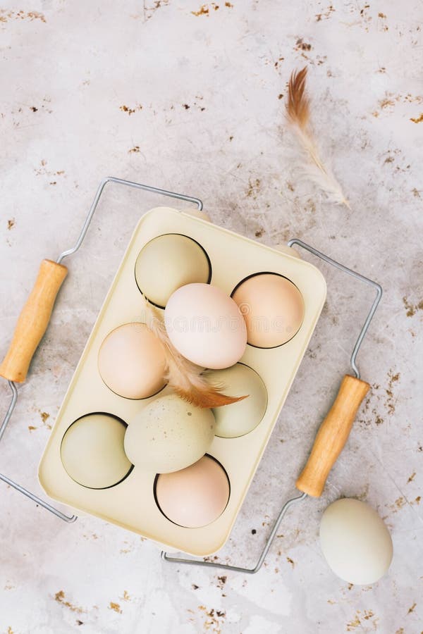 Free range, organic chicken eggs of araucana hens