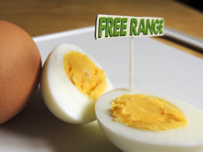 Free Range, Organic, Hard Boiled Eggs Stock Photo Image of range