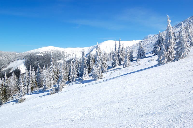 Freeride areál na Chopku v lyžiarskom stredisku Jasná