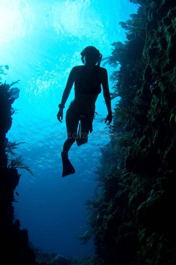 Freediver del Caribe fotografía de archivo Freediver del Caribe fotografía de archivo