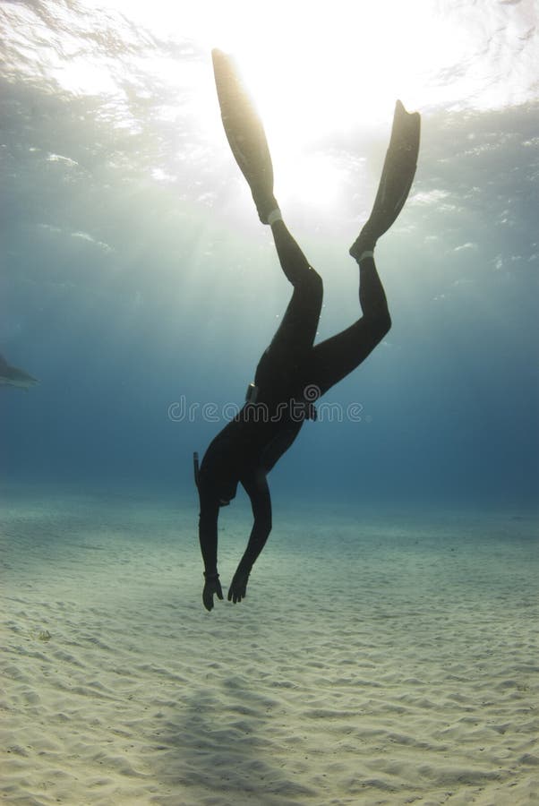 Freediver Descent