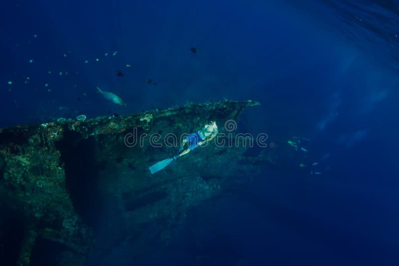 Underwater Shipwreck, Bonaire Stock Image - Image of ship, crashed: 9046843