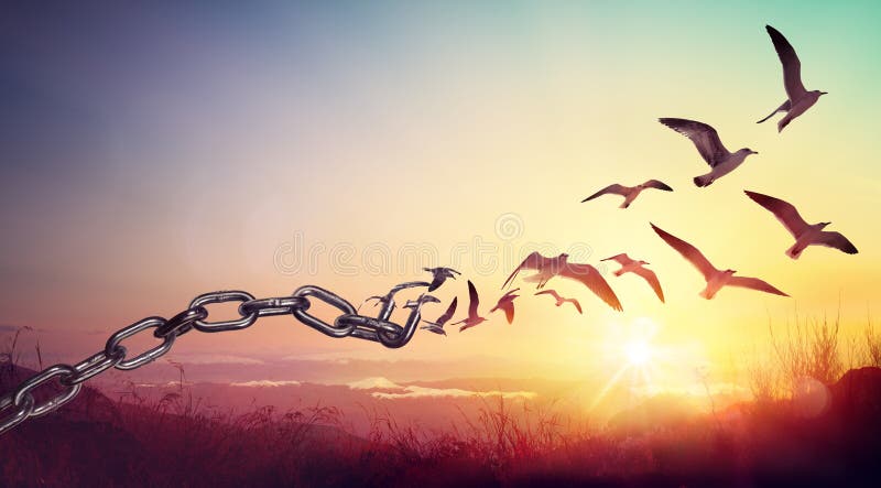 Freedom - Chains That Transform Into Birds. Charge Concept