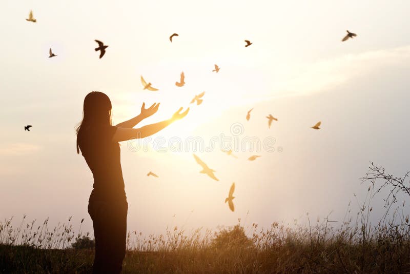 Freedom of life, free bird and woman enjoying nature on sunset
