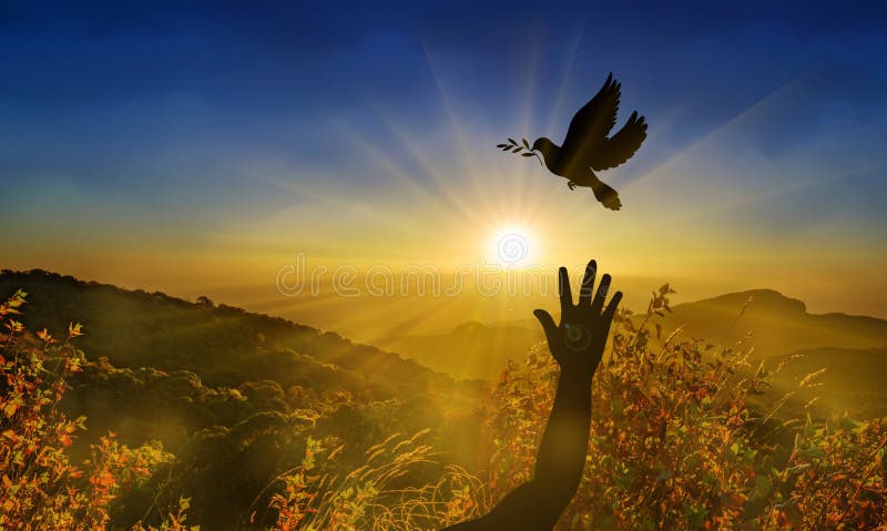 Freedom, peace and spirituality dove, pigeon with olive branch. Freedom, peace, hope and spirituality pigeon silhouette with an olive branch flying in the blue royalty free stock photo