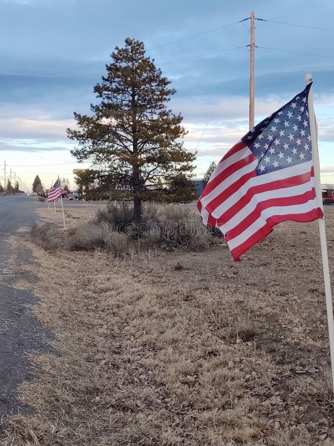 Freedom reigns strong stock photo. Image of celebrate 173613480