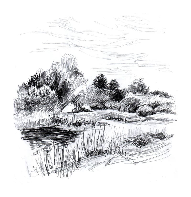 Freehand Drawing with Graphite Pencils of the River Bank. Stock ...