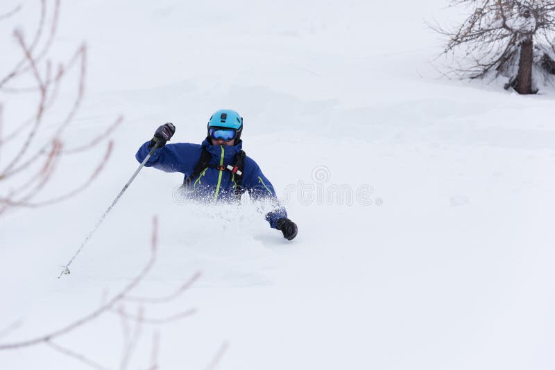 Extreme freeride skier skiing on fresh powder snow in forest downhill at winter season. Extreme freeride skier skiing on fresh powder snow in forest downhill at winter season