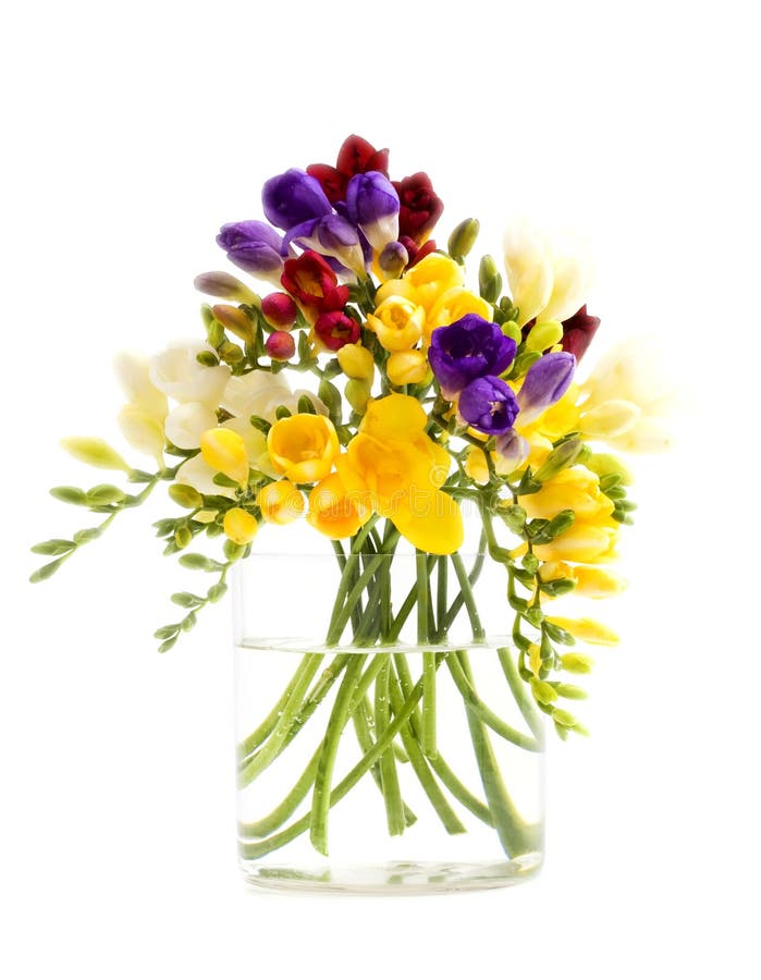 Freesia flowers. Bunch in a vase Isolated on white Freesia flowers. Bunch in a vase Isolated on white