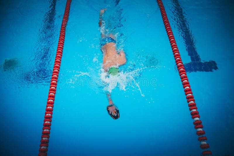 Fit Swimmer Training in the Swimming Pool. Professional Male Swimmer