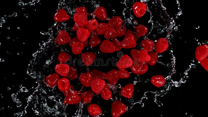 Freeze motion of raspberries in water splash stock image
