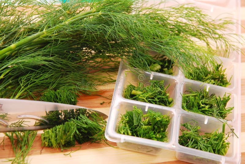 Freezing the dill for winter