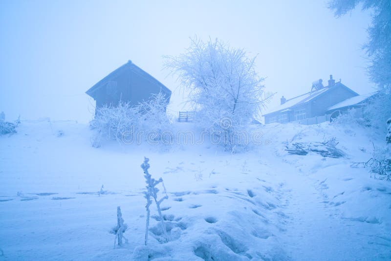 A foggy freezing morning after snowing. A foggy freezing morning after snowing