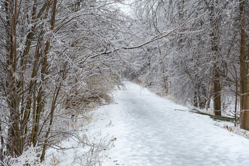 Freezing rain storm in ontario