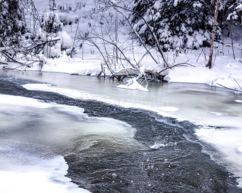 Freezing Small River among the Trees Stock Photo - Image of forest ...