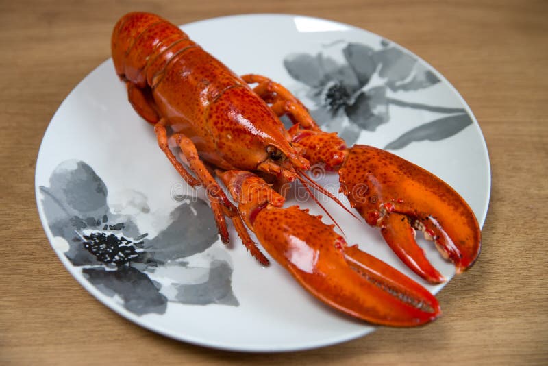 Frehly Boiled Lobster on the Plate Stock Image Image of lemon, luxury 265234459