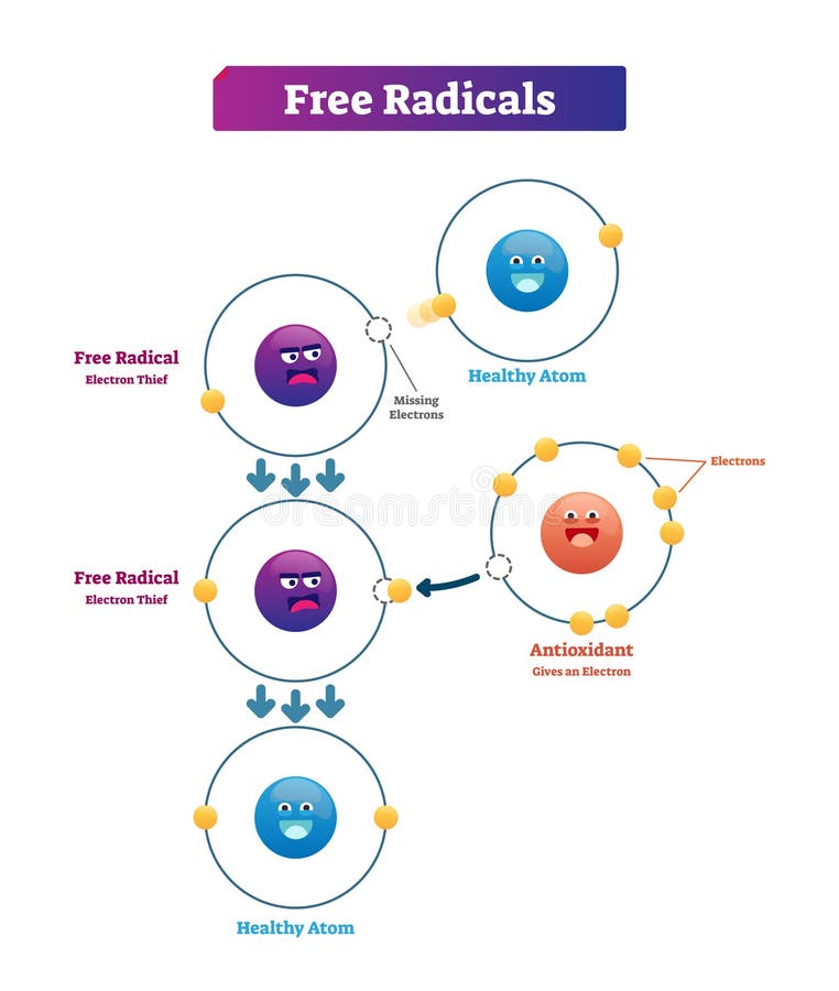 Freies Radikal-, Antioxidans- und gesundesatomerklärungsvektor-Illustrationsdiagramm
