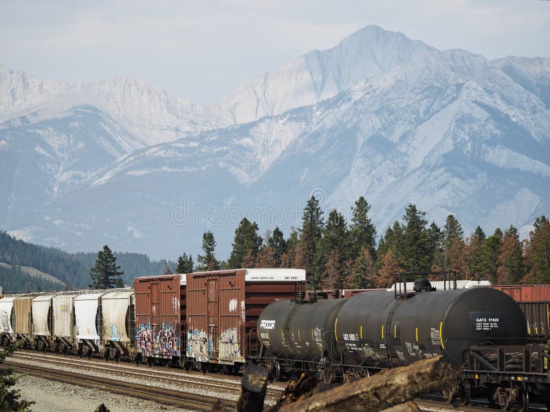 Freight train with graffiti passing through Jasper, Alberta, Canada. Rocky Mountains in background. Copy space. royalty free stock photo Freight train with graffiti passing through Jasper, Alberta, Canada. Rocky Mountains in background. Copy space. royalty free stock photo