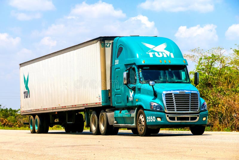 Camión De Freightliner Cascadia, Nueva York, Los E.E.U.U. Foto de