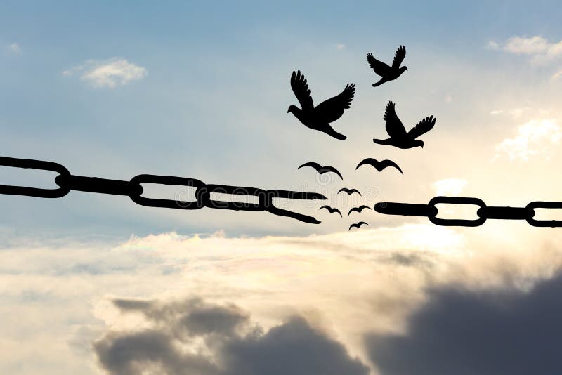 Freedom concept. Silhouettes of broken chain and birds flying in blue sky. Freedom concept. Silhouettes of broken chain and birds flying in blue sky