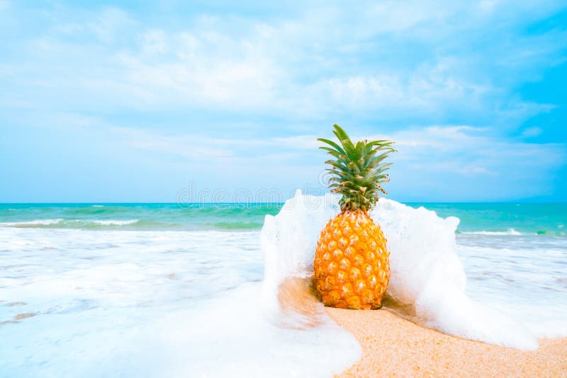 Freizeit im Sommer- und Sommerferienkonzept lizenzfreies stockfoto Freizeit im Sommer- und Sommerferienkonzept lizenzfreies stockfoto