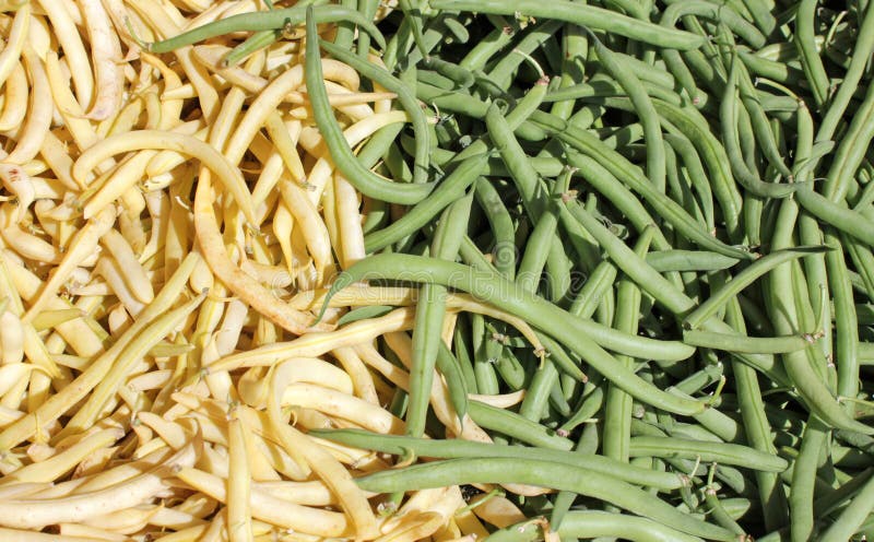 Green and yellow haricot bean pods at a market stand. Green and yellow haricot bean pods at a market stand.