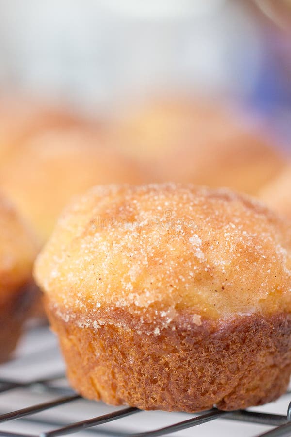 French Breakfast Puffs stock image. Image of muffins 53547141