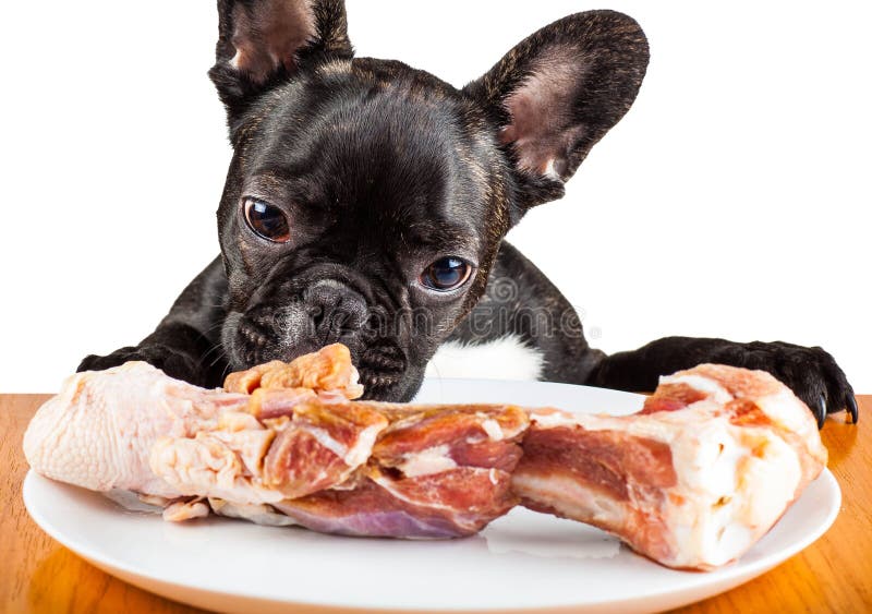 Dieta barf bulldog frances Dieta barf bulldog frances