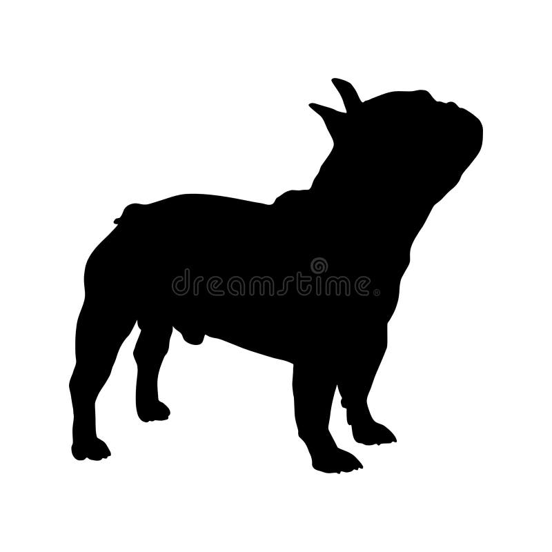 German Shorthaired Pointer Dog Vector Stock Vector - Illustration of ...